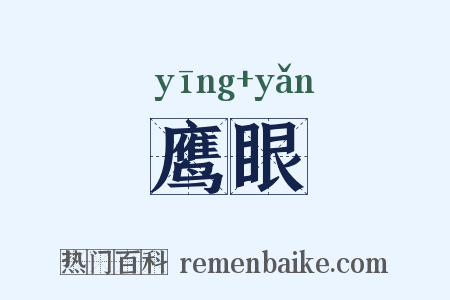鹰眼是什么意思的图片